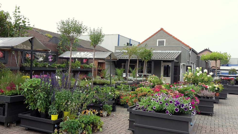 BJ Tuinadvies plantenwinkel